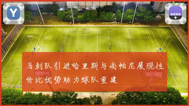 马刺队引进哈里斯与尚帕尼展现性价比优势助力球队重建