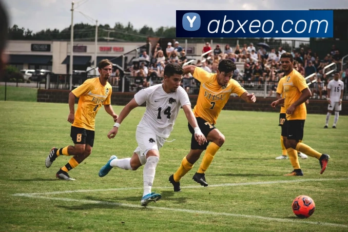 多终端兼容